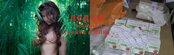 mdma Бородино