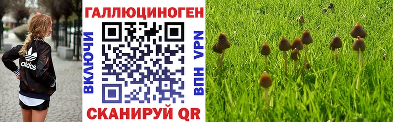 купить наркотик  Игра  Псилоцибиновые грибы ЛСД 